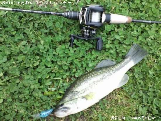 �֥�å��Х�