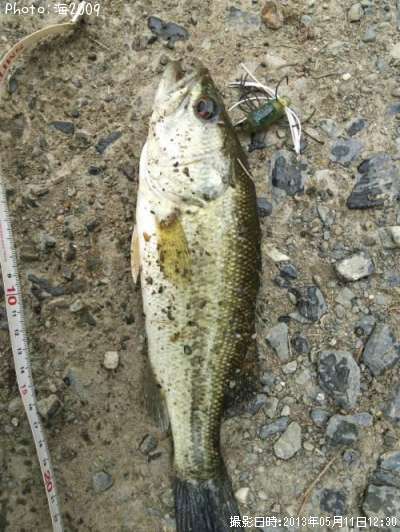 �֥�å��Х�