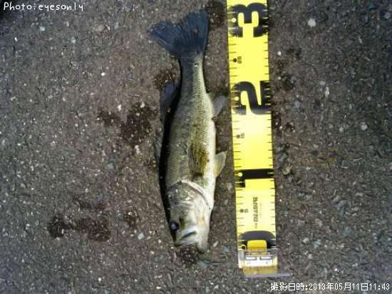 �֥�å��Х�