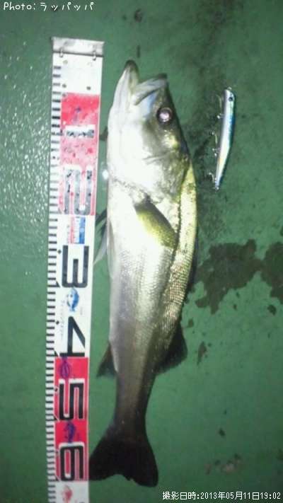 �����Х�