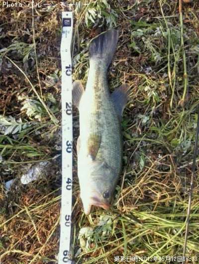 �֥�å��Х�