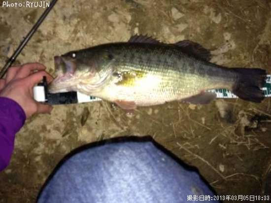 �֥�å��Х�