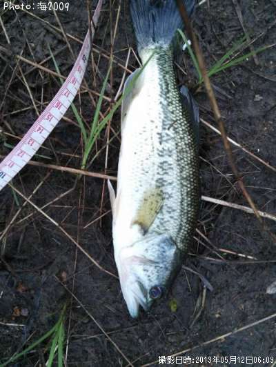 �֥�å��Х�