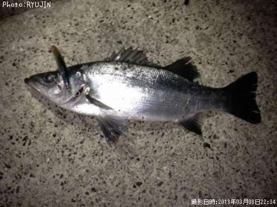 �ҥ饹����