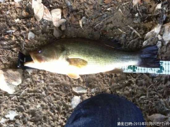 �֥�å��Х�