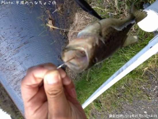 �֥�å��Х�