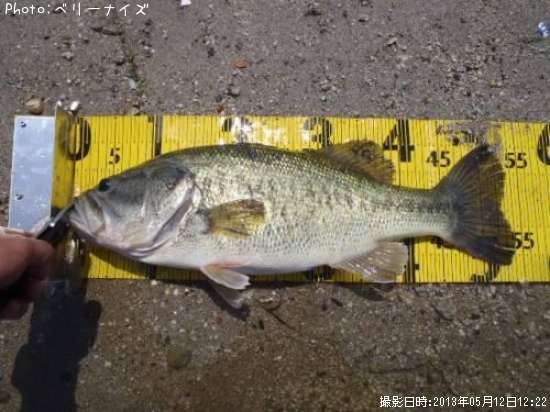 �֥�å��Х�