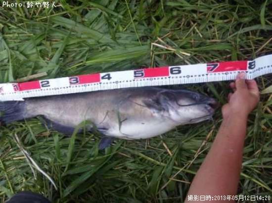 ����åȥե��å���