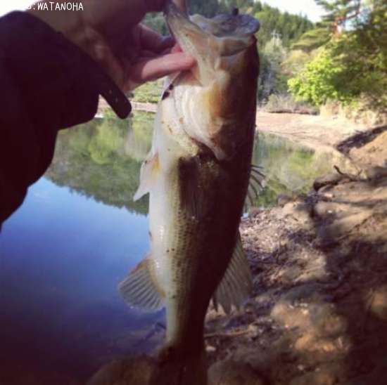 �֥�å��Х�