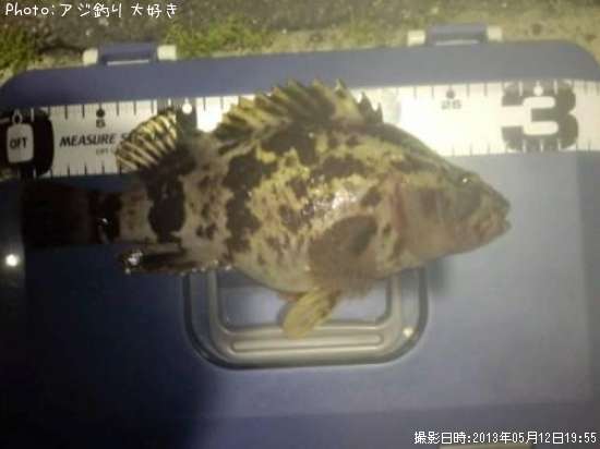 �����Υ���Х�