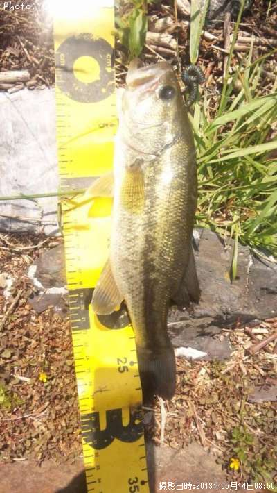 �֥�å��Х�