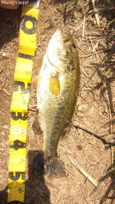 �֥�å��Х�