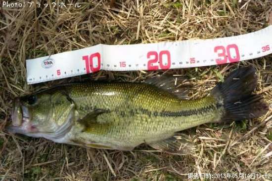 �֥�å��Х�