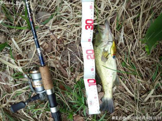 �顼���ޥ����Х�