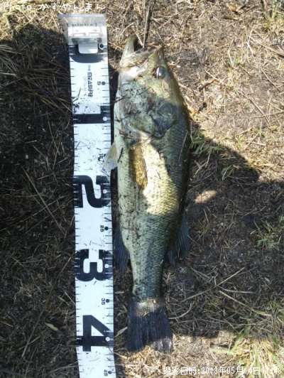 �֥�å��Х�