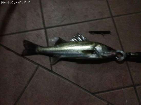 �����Х�