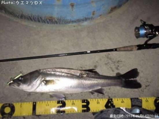 �����Х�