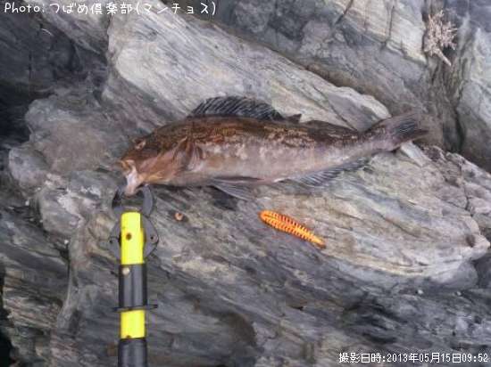 �����ʥ�