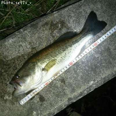 �֥�å��Х�