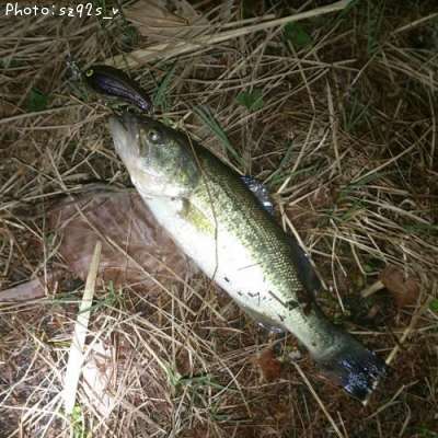 �֥�å��Х�