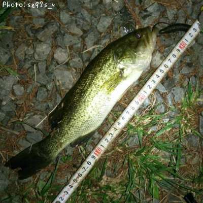 �֥�å��Х�