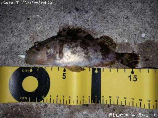 �����Υ���Х�