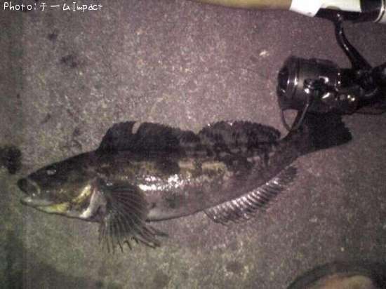 �����ʥ�