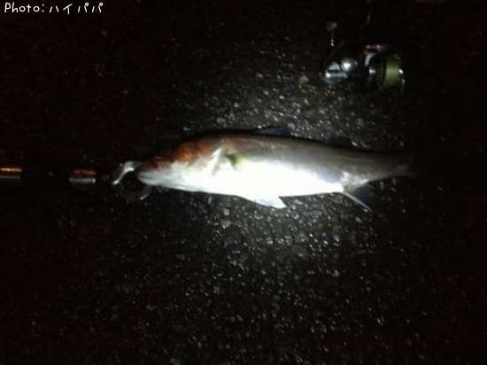 �����Х�