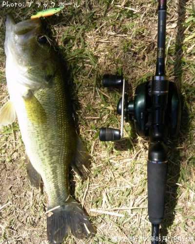 �֥�å��Х�