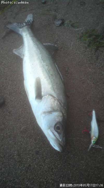 �����Х�