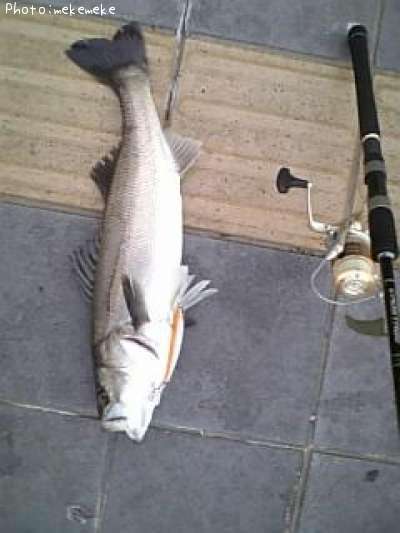 �����Х�