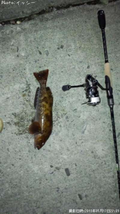 �����ʥ�