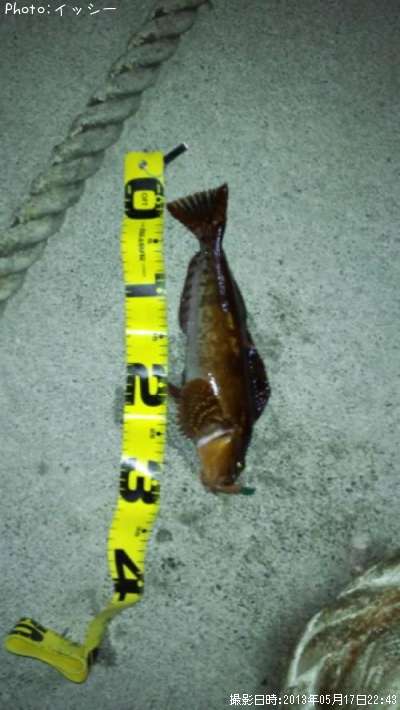 �����ʥ�