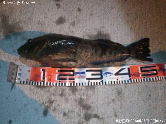 �����ʥ�