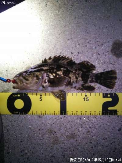 �����Υ���Х�