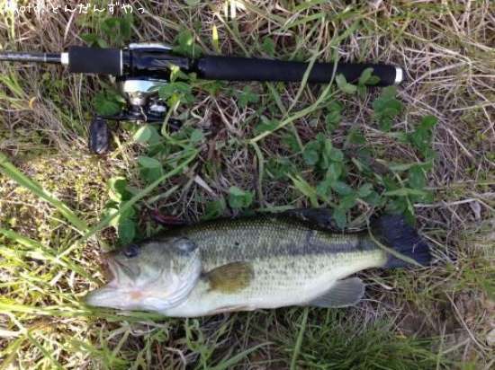 �֥�å��Х�