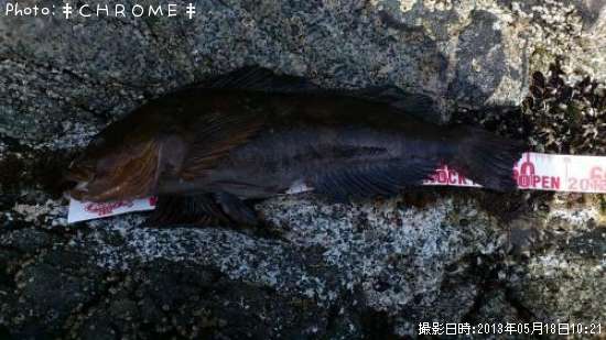 �����ʥ�