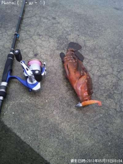 �����ϥ�