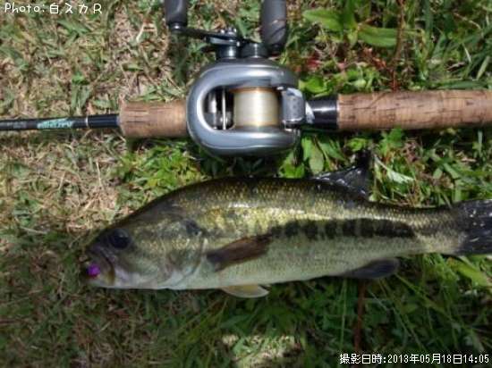 �顼���ޥ����Х�