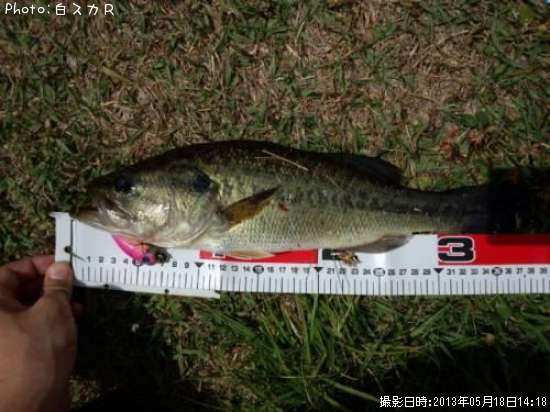 �顼���ޥ����Х�