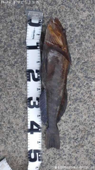 �����ʥ�