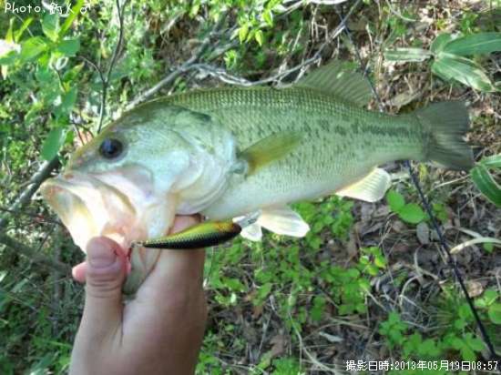 �顼���ޥ����Х�