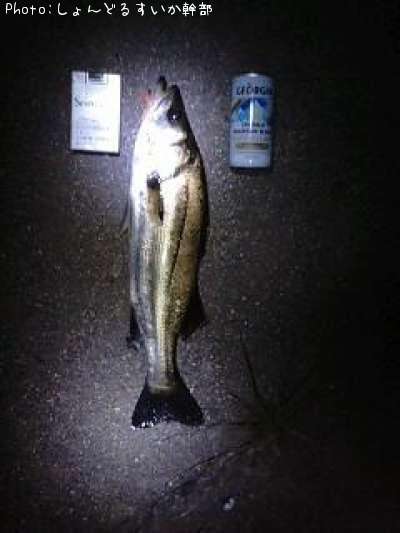 �����Х�