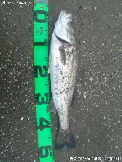 �����Х��ʥեå���