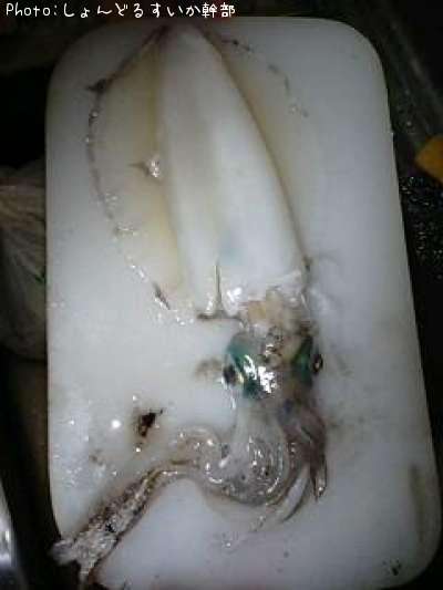 �ߥ�����