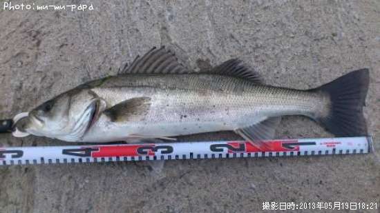 �����Х�