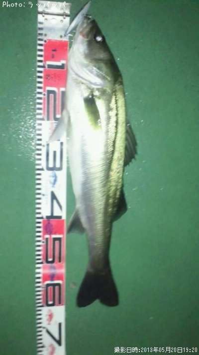 �����Х�