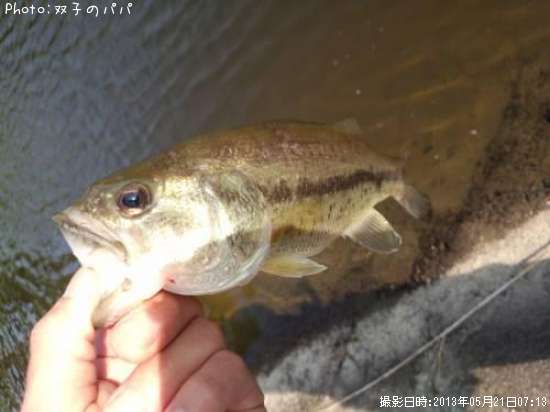 �֥�å��Х�