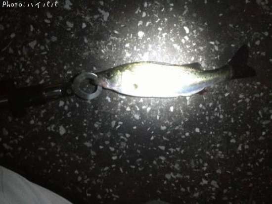 �����Х�