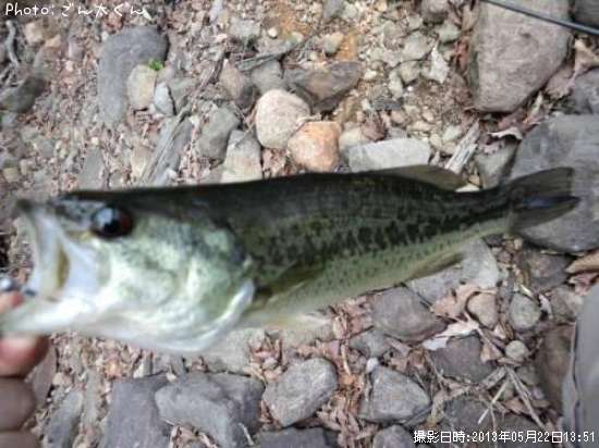 �֥�å��Х�